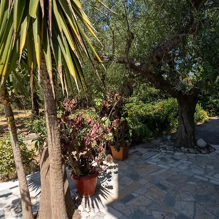 Skyblue Horizon 4 Planos